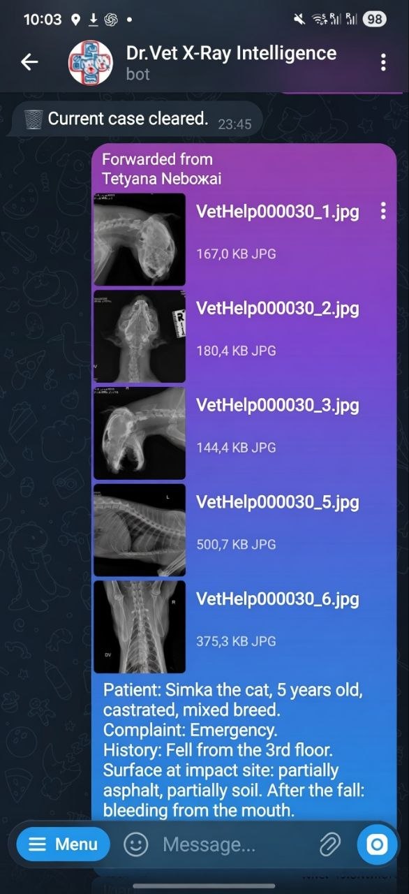 Dr.Vet X-Ray Intelligence | Fast Veterinary X-Ray AI